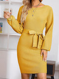 Tie Waist Long Sleeve Mini Dress