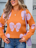 Angel Wings Bow Round Neck Dropped Shoulder Sweater