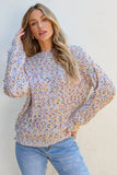 Round Neck Long Sleeve Sweater