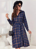 Plaid Tie Waist Long Sleeve Dress