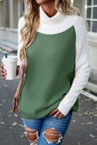 Contrast Turtleneck Raglan Sleeve Sweater