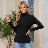 Turtleneck Long Sleeve T-Shirt