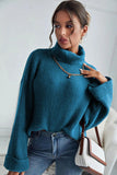 Turtleneck Long Sleeve Sweater