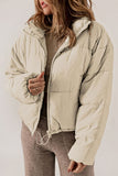 Zip Up Collared Neck Long Sleeve Winter Coat