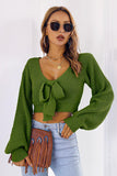 Bow V-Neck Long Sleeve Cropped Sweater