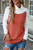 Contrast Turtleneck Raglan Sleeve Sweater