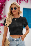 Round Neck Short Sleeve Crop Top